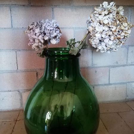 Apartmán La Cuppulata Budoni Exteriér fotografie