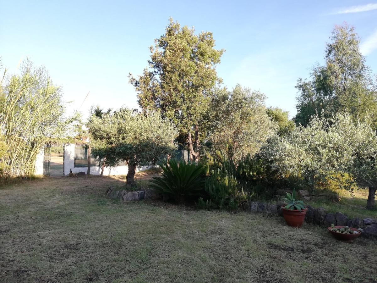 Apartmán La Cuppulata Budoni Exteriér fotografie